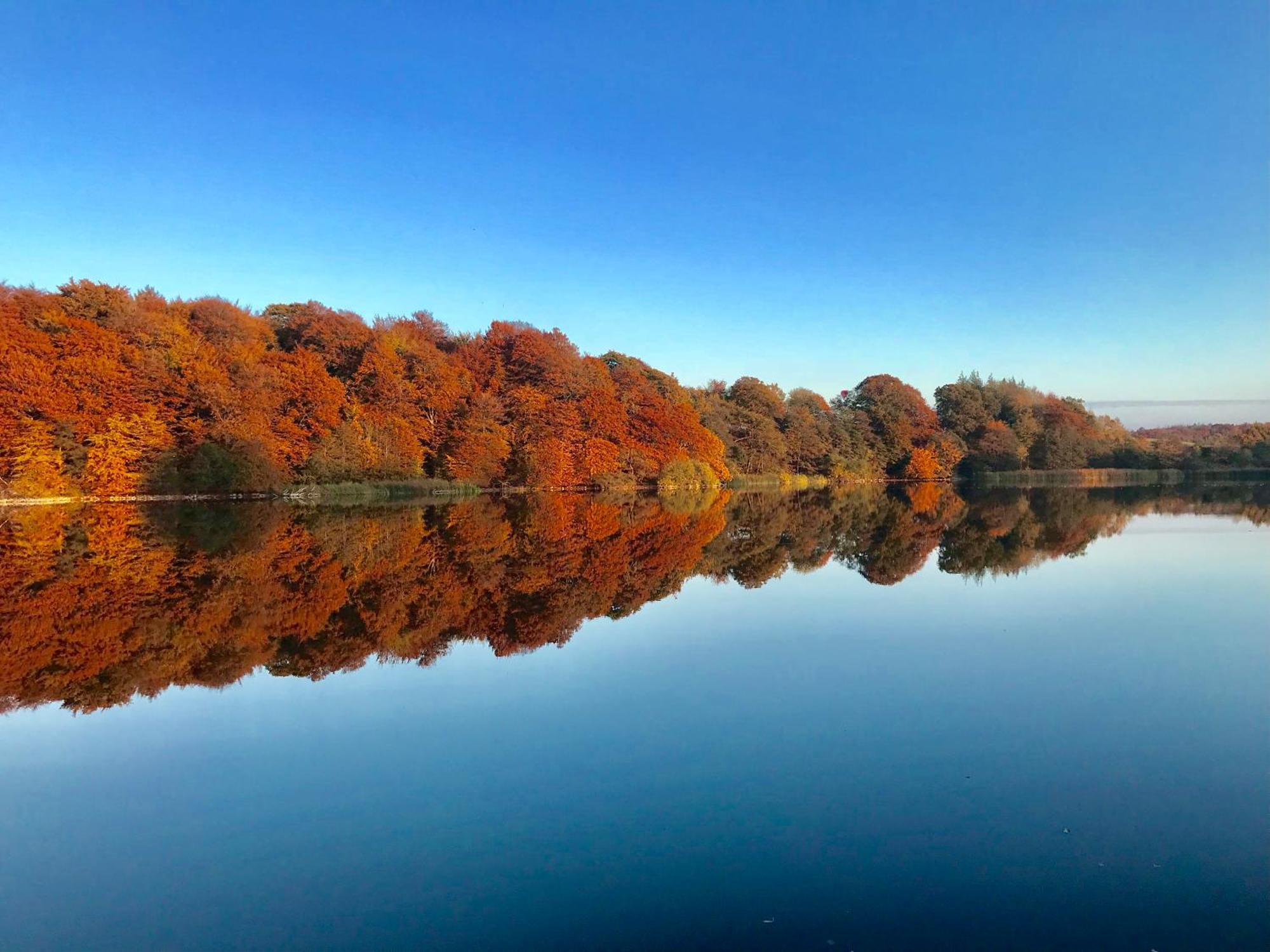 Skjoldenaesholm Slot Hotel Jystrup ภายนอก รูปภาพ
