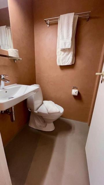 Skjoldenaesholm Slot Hotel Jystrup ภายนอก รูปภาพ